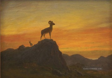 Tier Werke - ROCKY MOUNTAIN SHEEP Amerikanischer Albert Bierstadt Tier